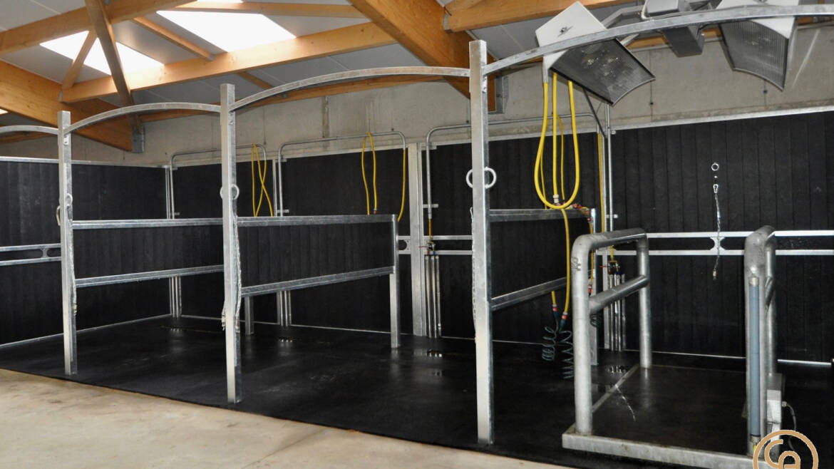 ca-ranch-douche-solarium-plaque-vibrante