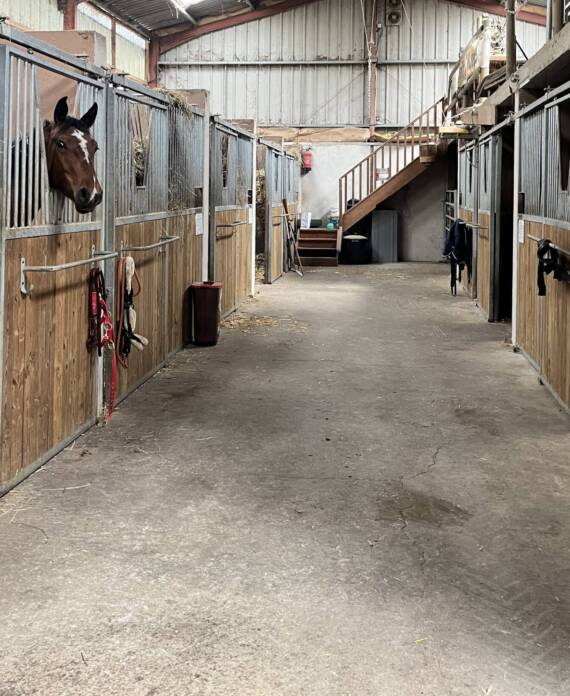 Ecurie du haut au CA ranch à Lentilly